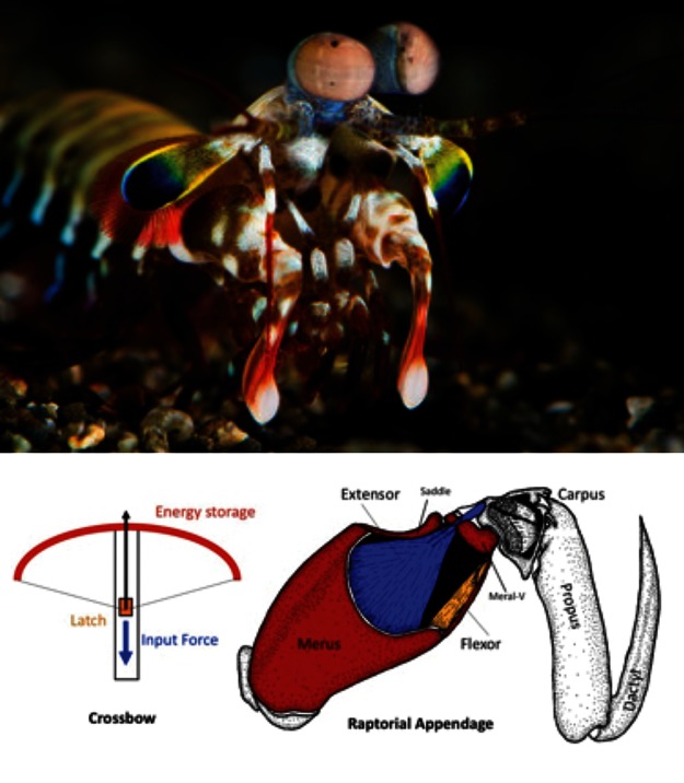 Figure 3.