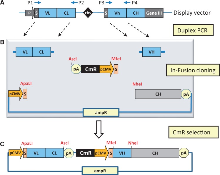 Figure 1.