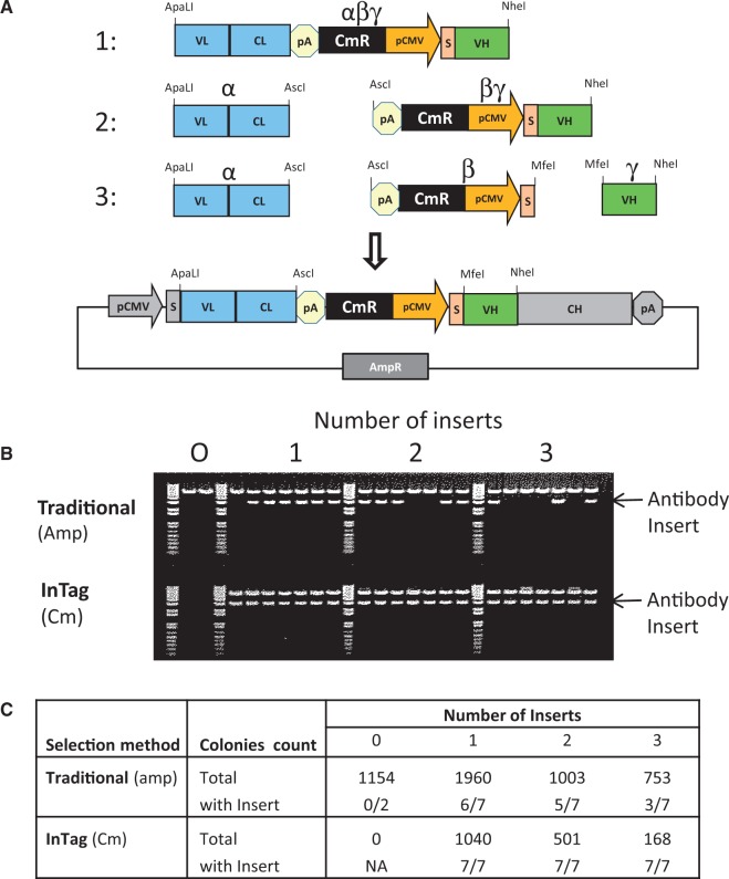 Figure 2.