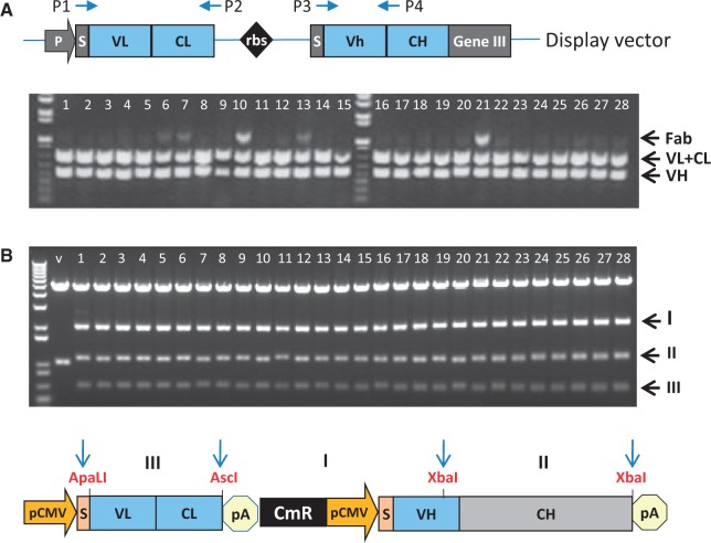 Figure 3.