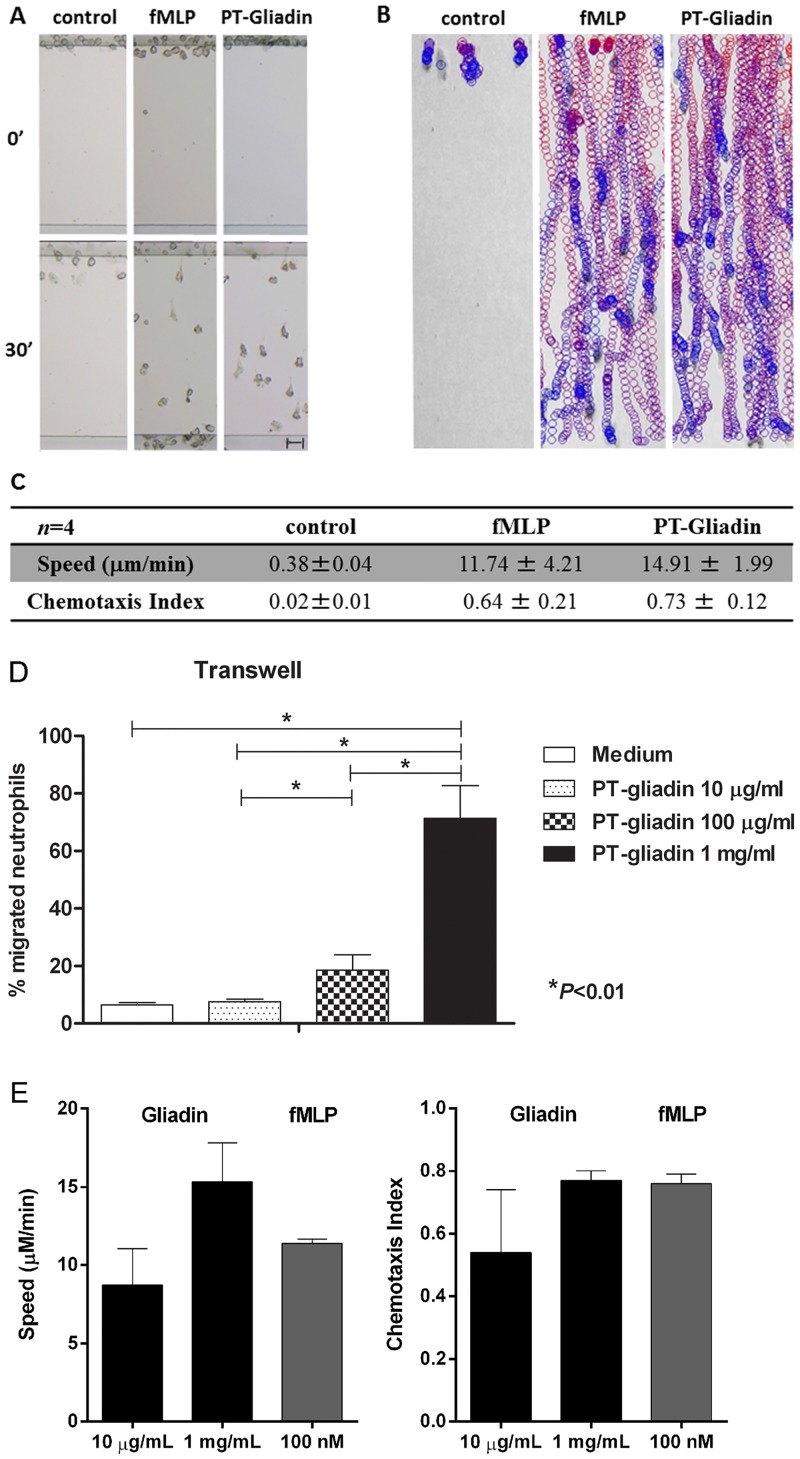 Fig 4