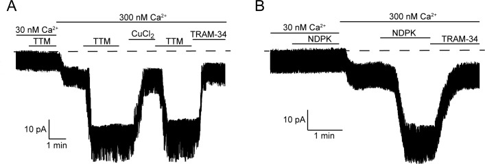 Figure 3.