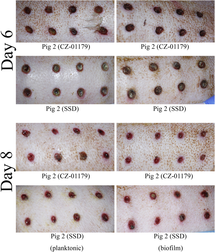 Fig. 9