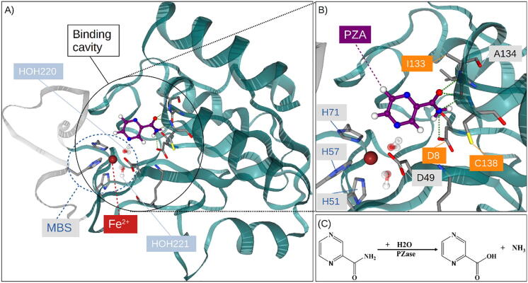 Fig. 1