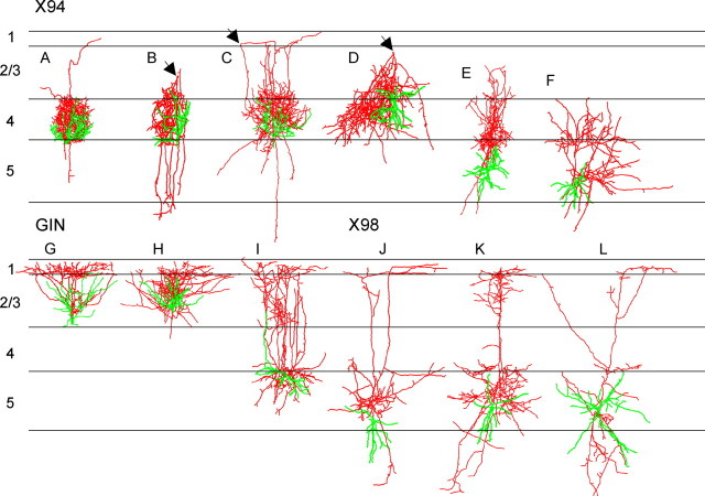 Figure 4.