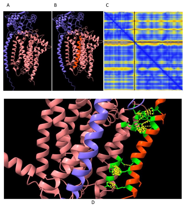 Figure 7