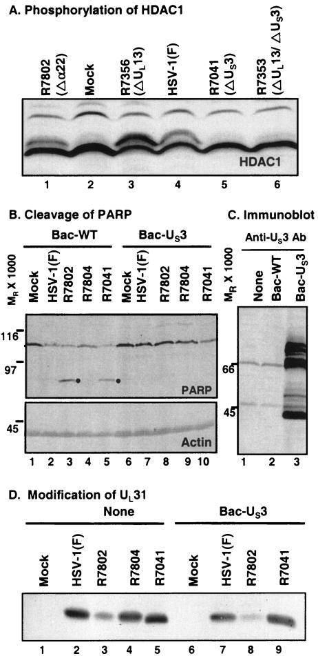 FIG. 9.