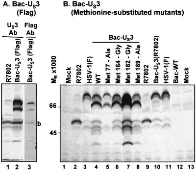 FIG. 8.