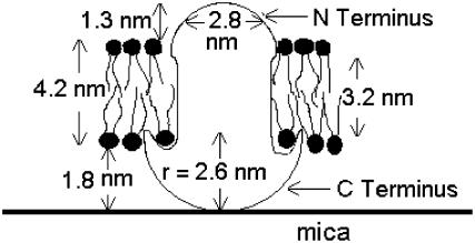 FIGURE 12