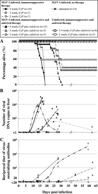 FIG. 4.