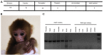 Figure 2.