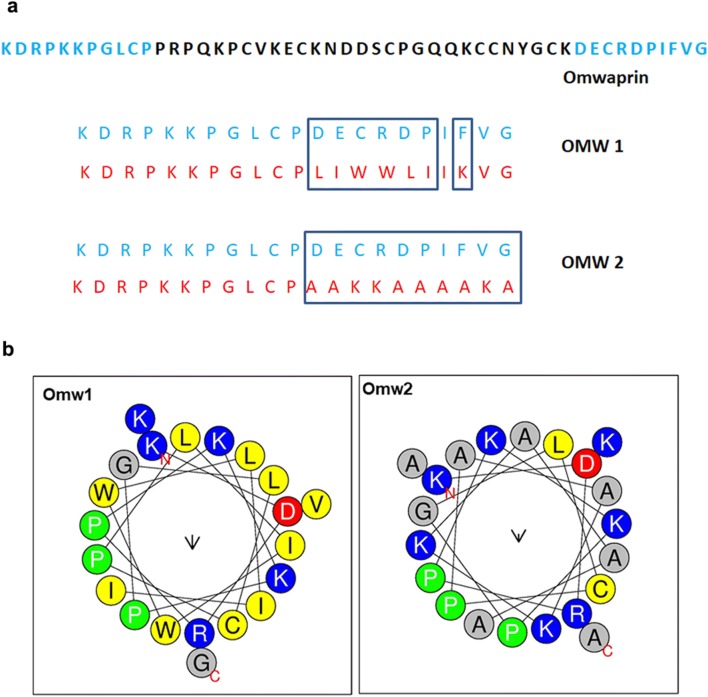 Fig. 1