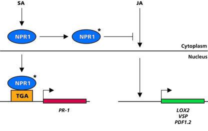 Figure 7.