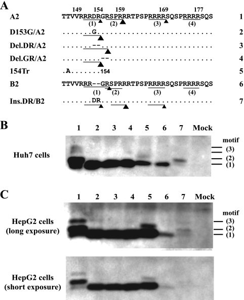 FIG. 5.