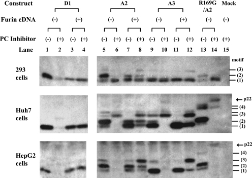 FIG. 8.