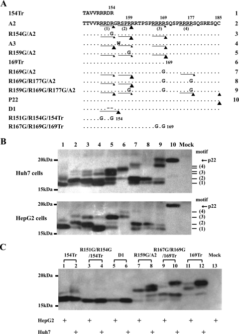 FIG. 6.