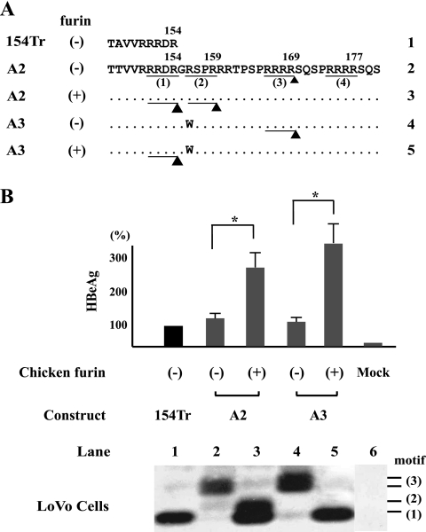 FIG. 7.