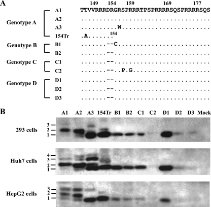 FIG. 3.