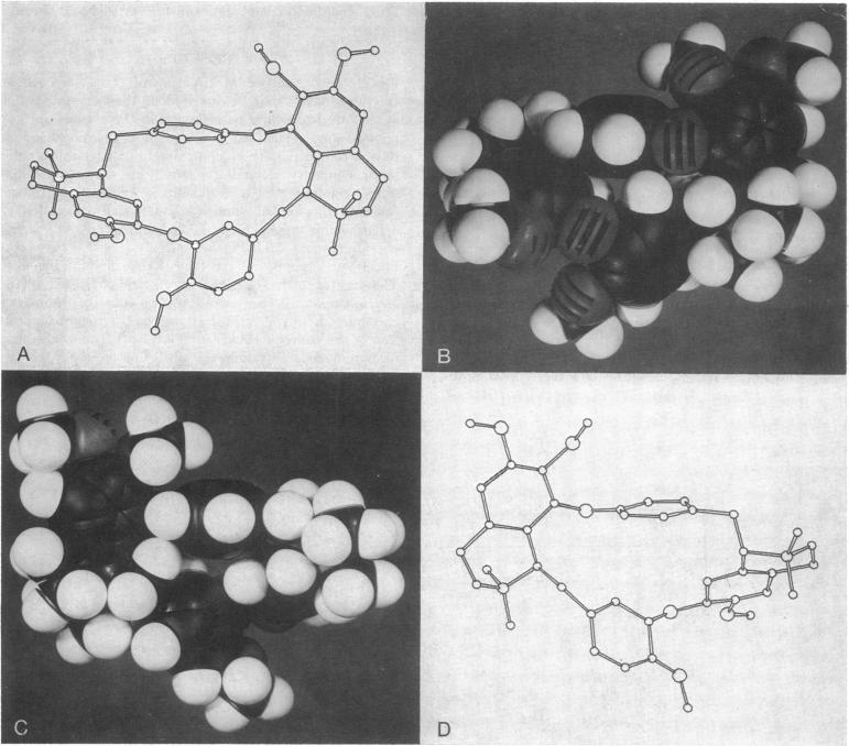 graphic file with name pnas00134-0224-a.jpg