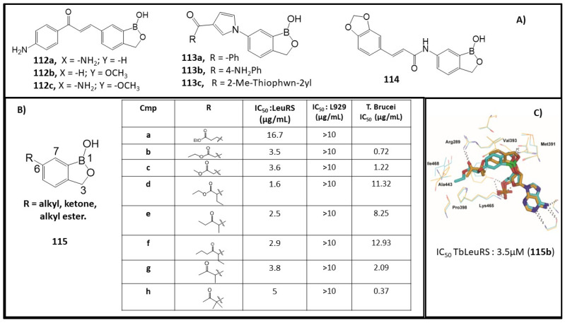 Figure 12