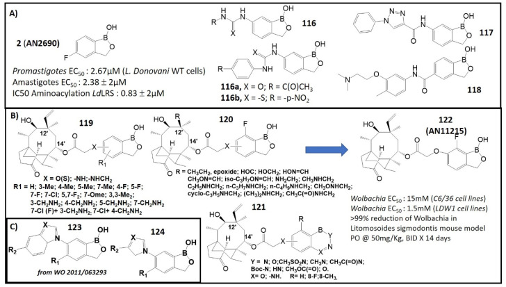 Figure 13