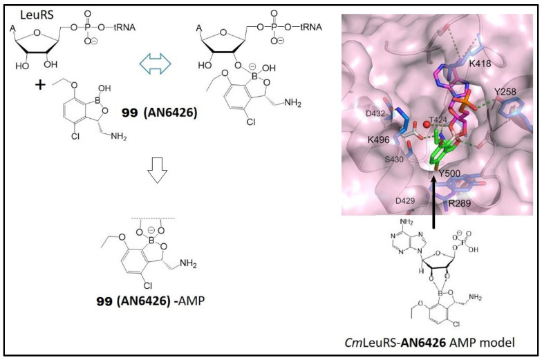 Figure 14