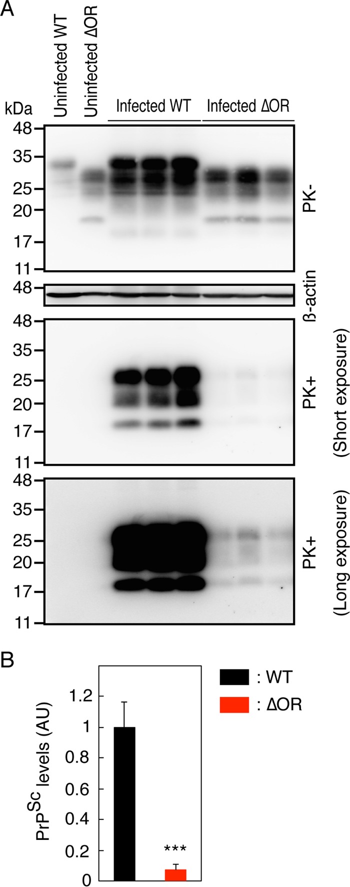 FIG 6