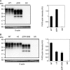 FIG 1