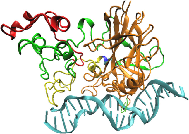 Navigating the complexity of p53-DNA binding: implications for cancer ...