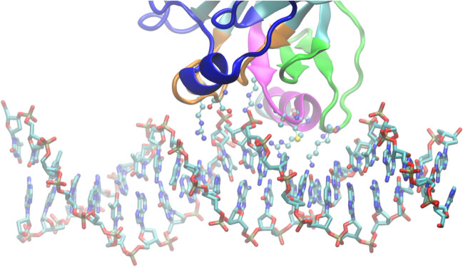 Navigating the complexity of p53-DNA binding: implications for cancer ...