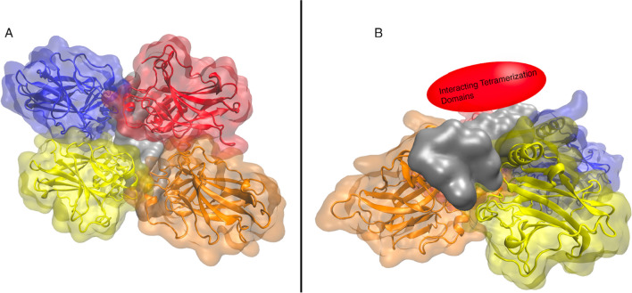 Navigating The Complexity Of P53-dna Binding: Implications For Cancer 