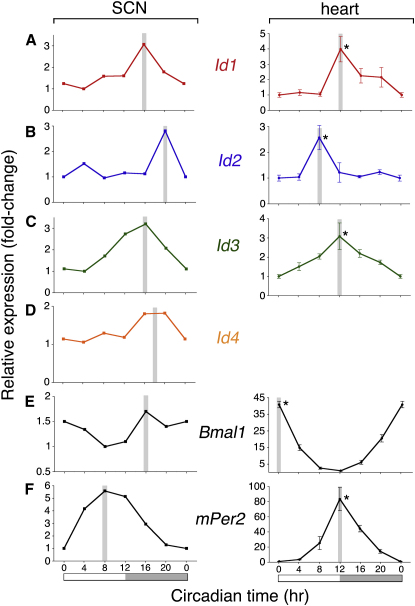 Figure 1