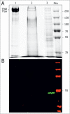 Figure 7.