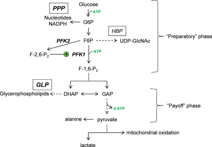 FIGURE 5.