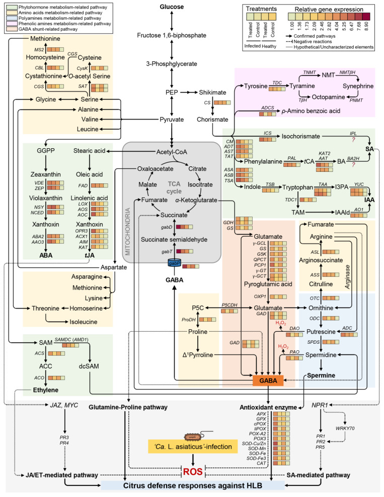 Figure 9