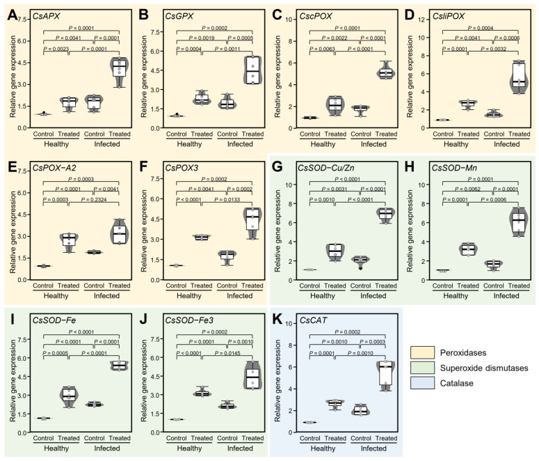 Figure 7