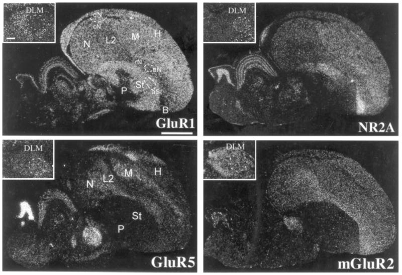 Fig. 10