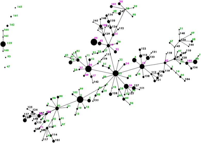 Supplementary Fig. 1