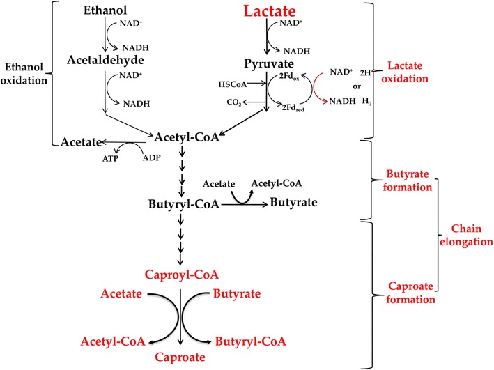 Fig. 7