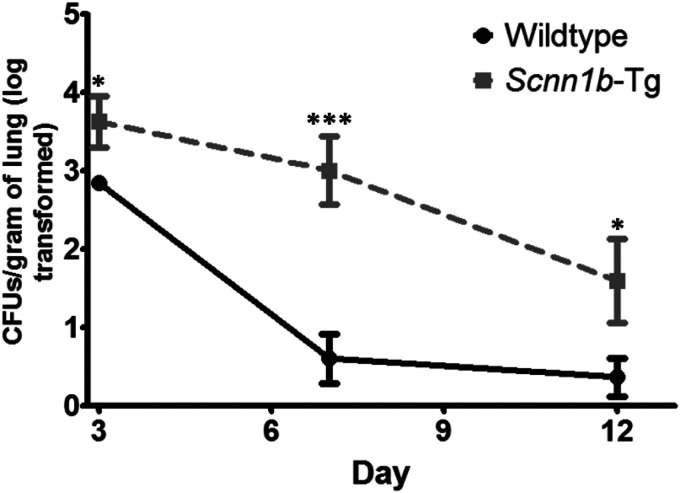 FIG 2