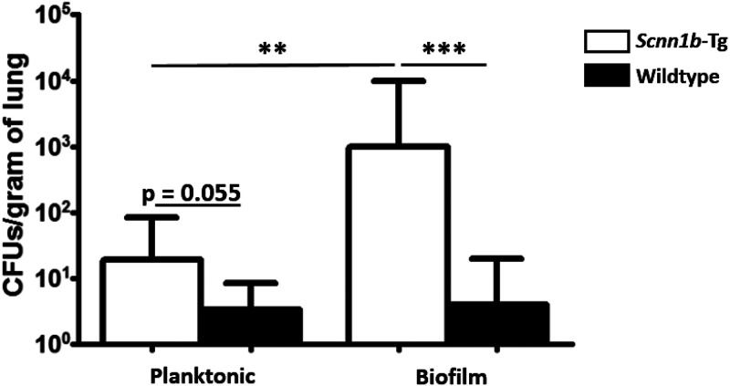 FIG 1