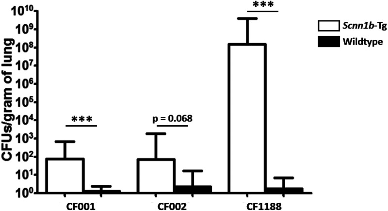 FIG 4