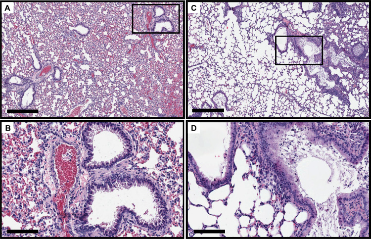 FIG 6