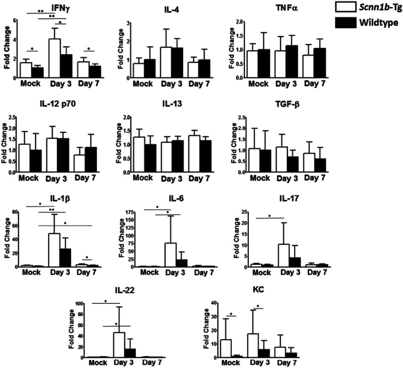 FIG 3