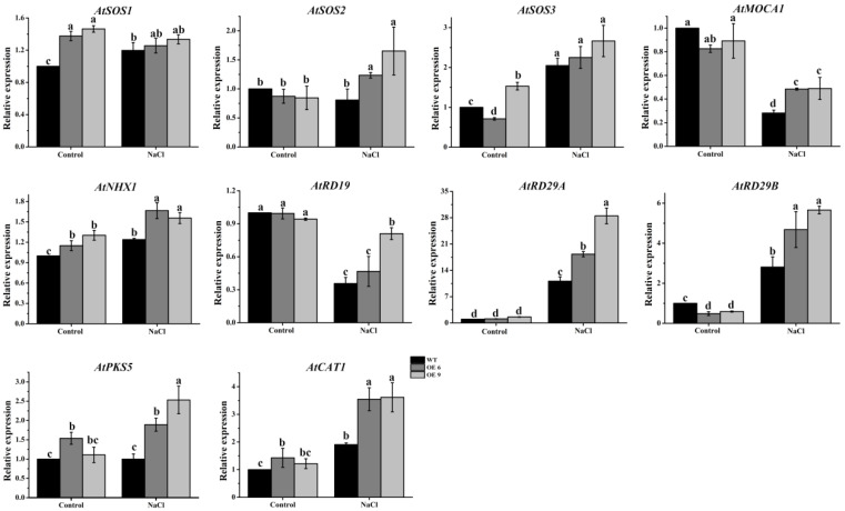 Figure 10