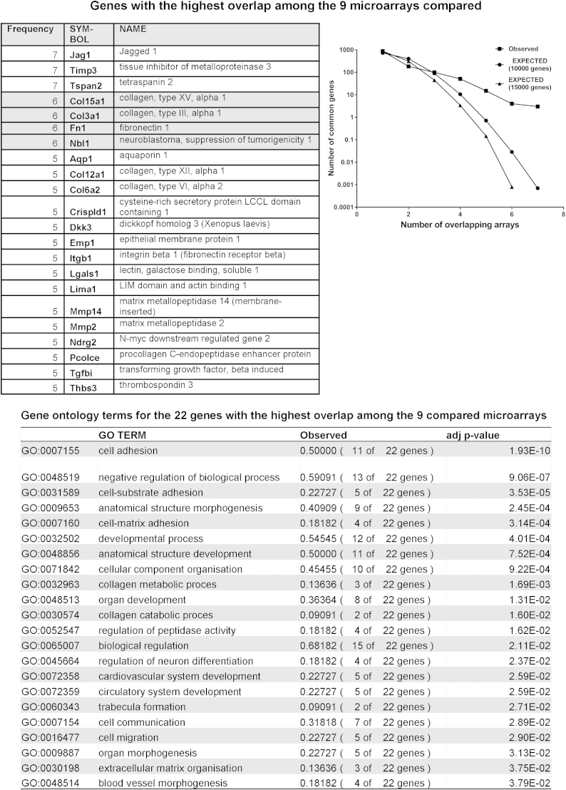 Fig. 6