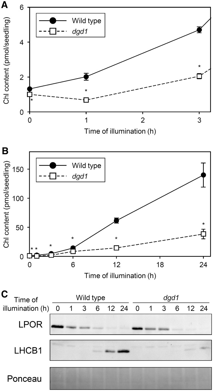 Fig. 12