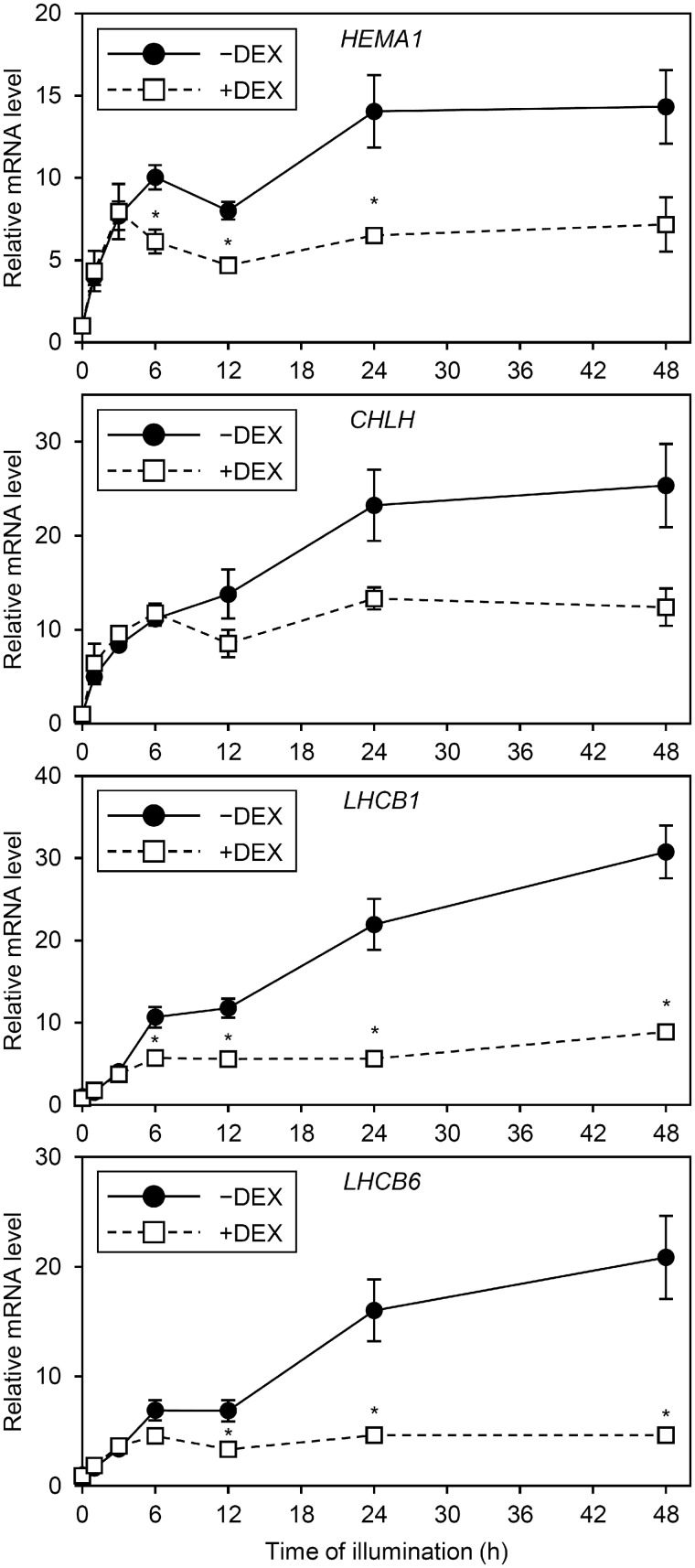 Fig. 6