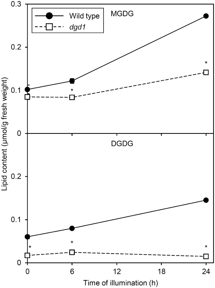 Fig. 10