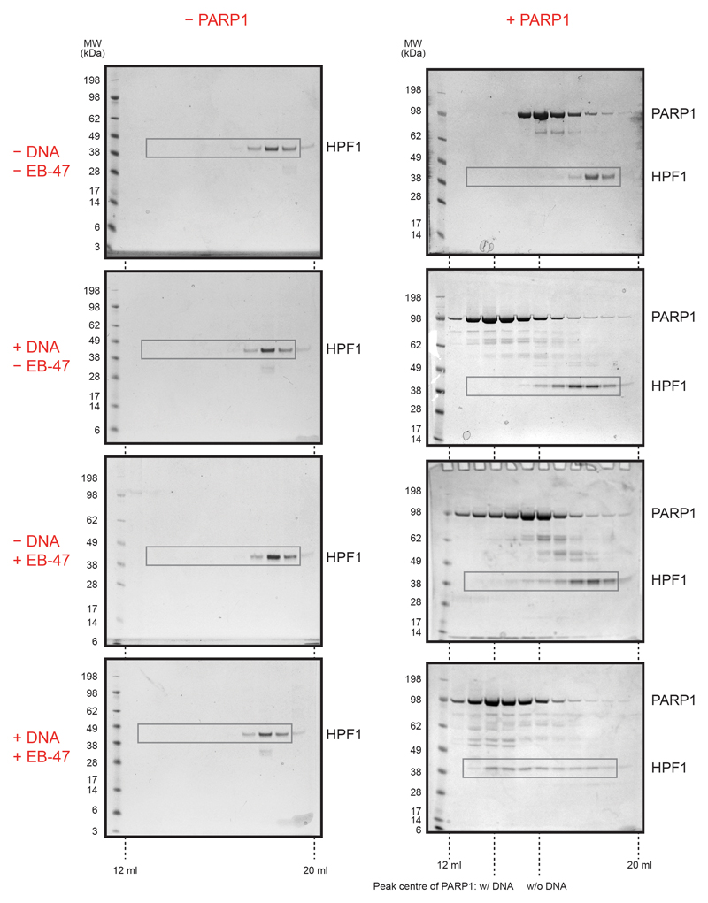 Extended Data Figure 2